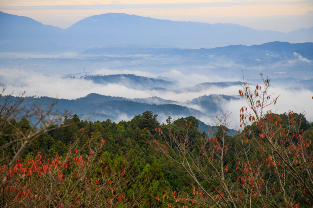 高城山展望台から眺める紅葉と絶景