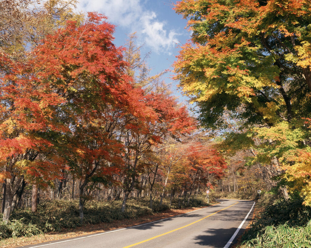 日塩もみじラインで紅葉ドライブ