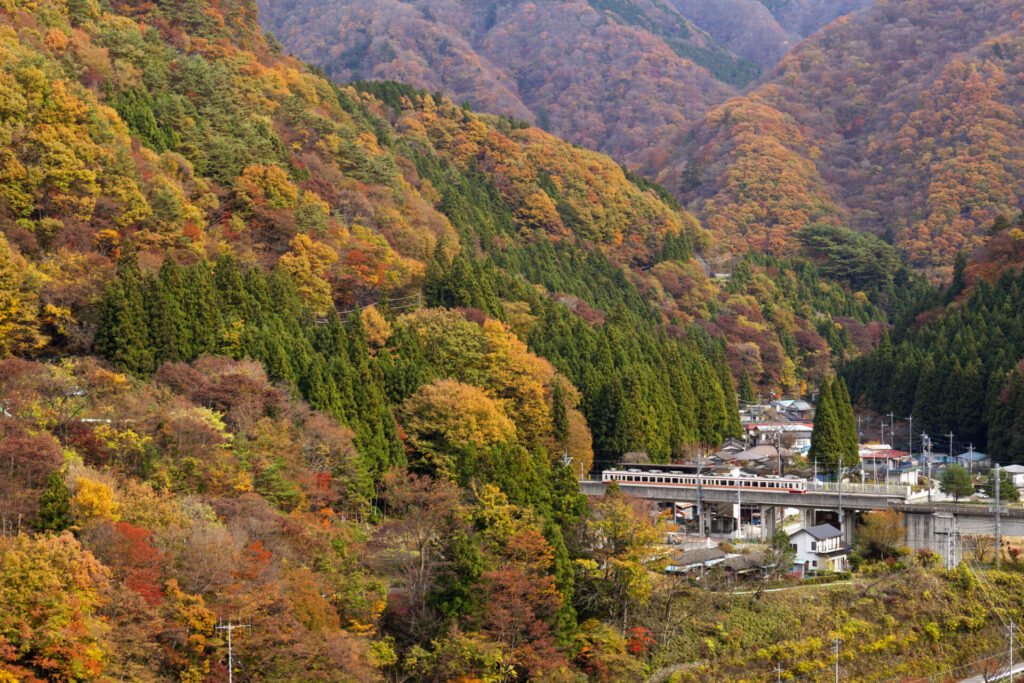 紅葉の時期の川治温泉郷