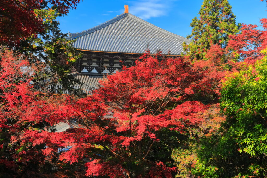 東大寺の紅葉