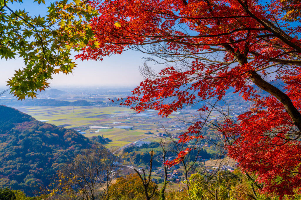 太平山の紅葉