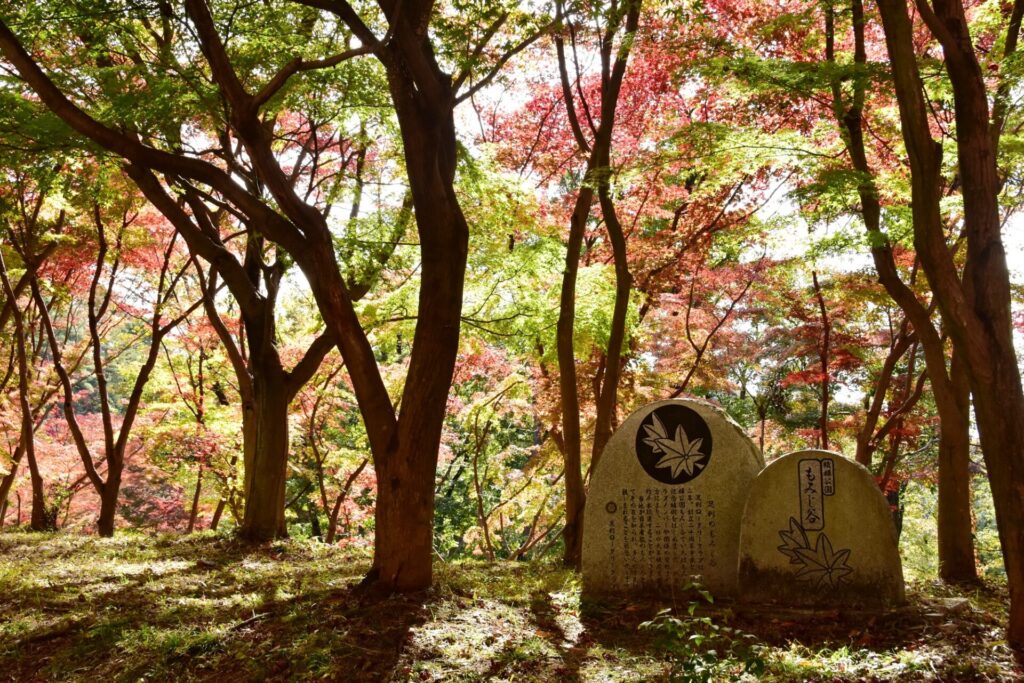 織姫公園もみじ谷の紅葉