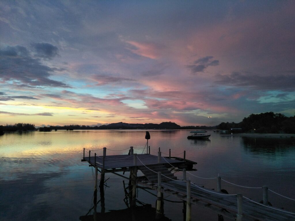 gray wooden dock