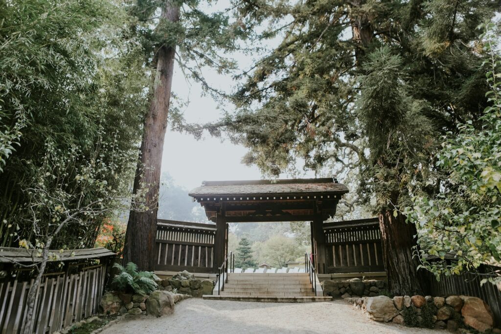 箱根観光おすすめスポット