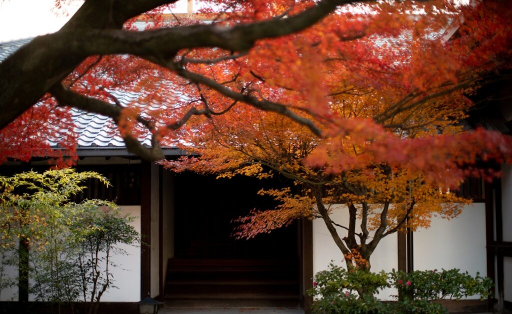 美しい京都の紅葉