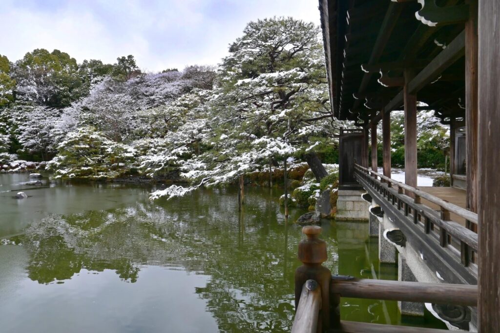 京都市平安神宮 泰平閣から望む積雪の神苑 