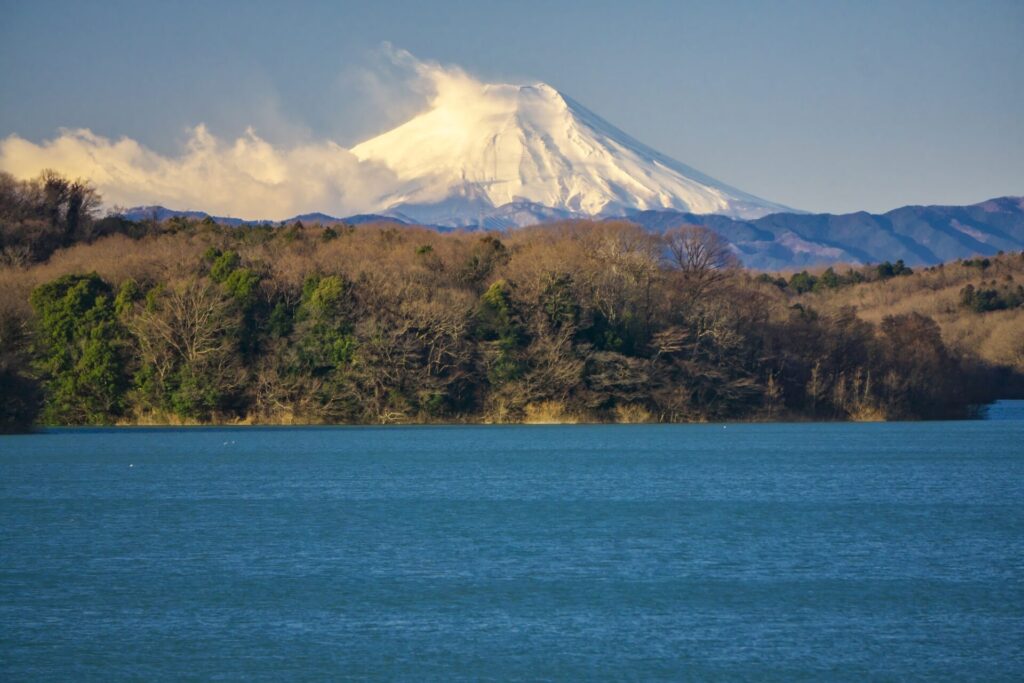 冬の狭山湖