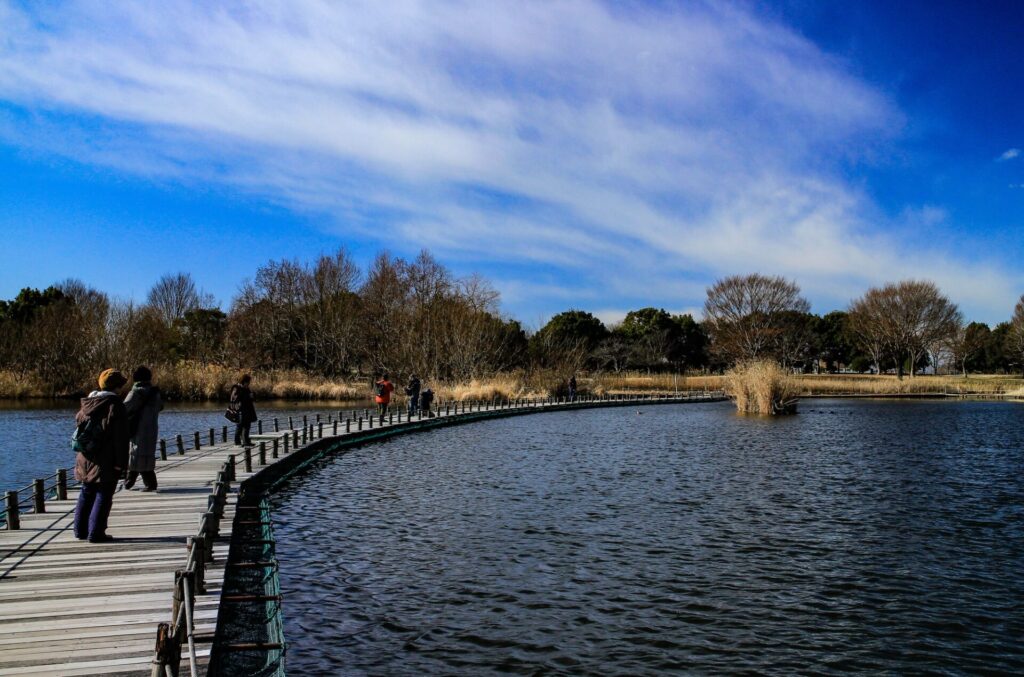 冬の羽生水郷公園