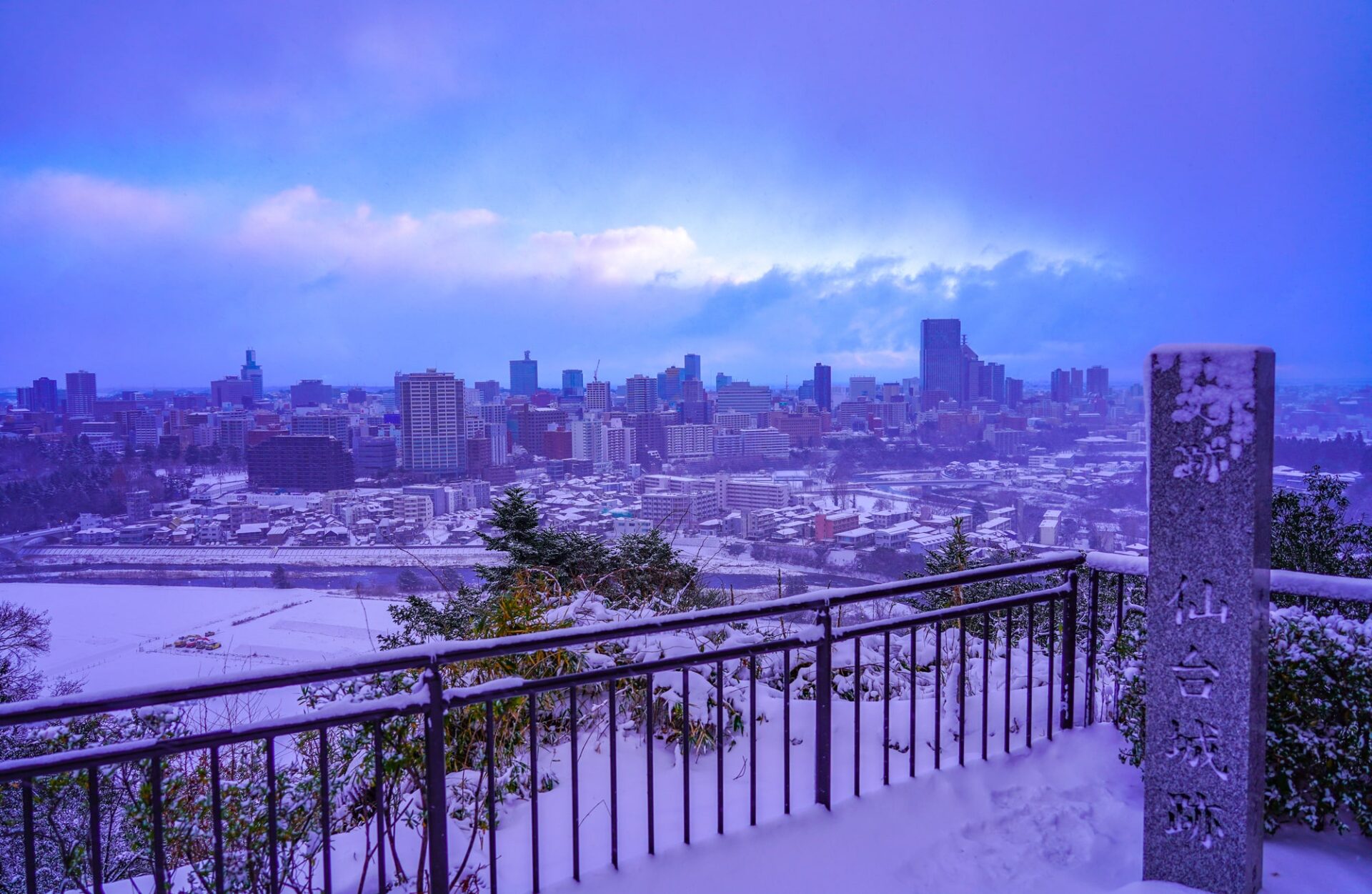 雪が積もる仙台城跡