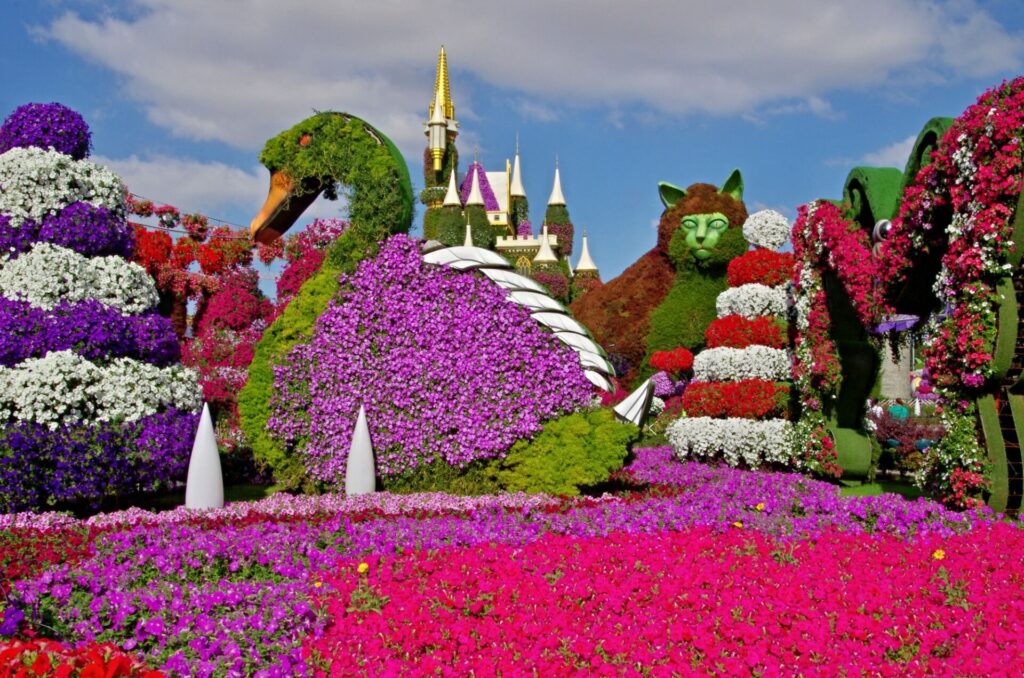 ミラクルガーデンで花々に囲まれて