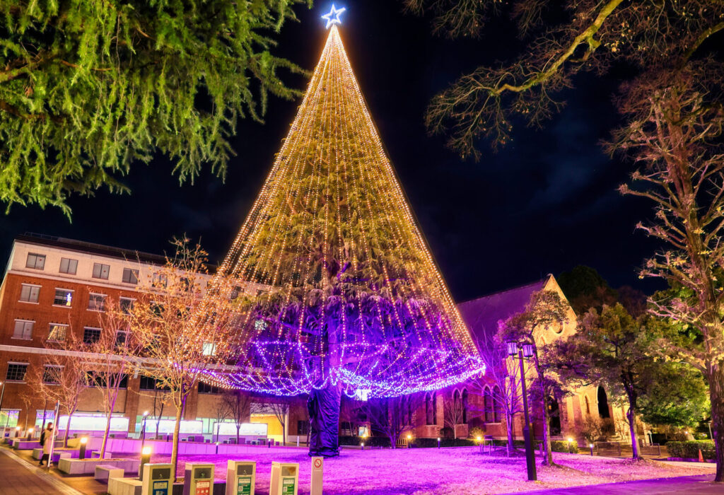 京都同志社大学のクリスマスイルミネーション