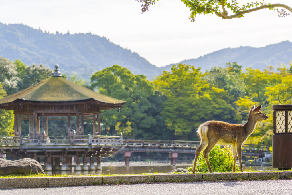 奈良の観光スポットとデートコース