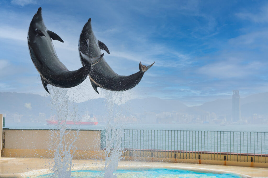 午後: 市立しものせき水族館 海響館