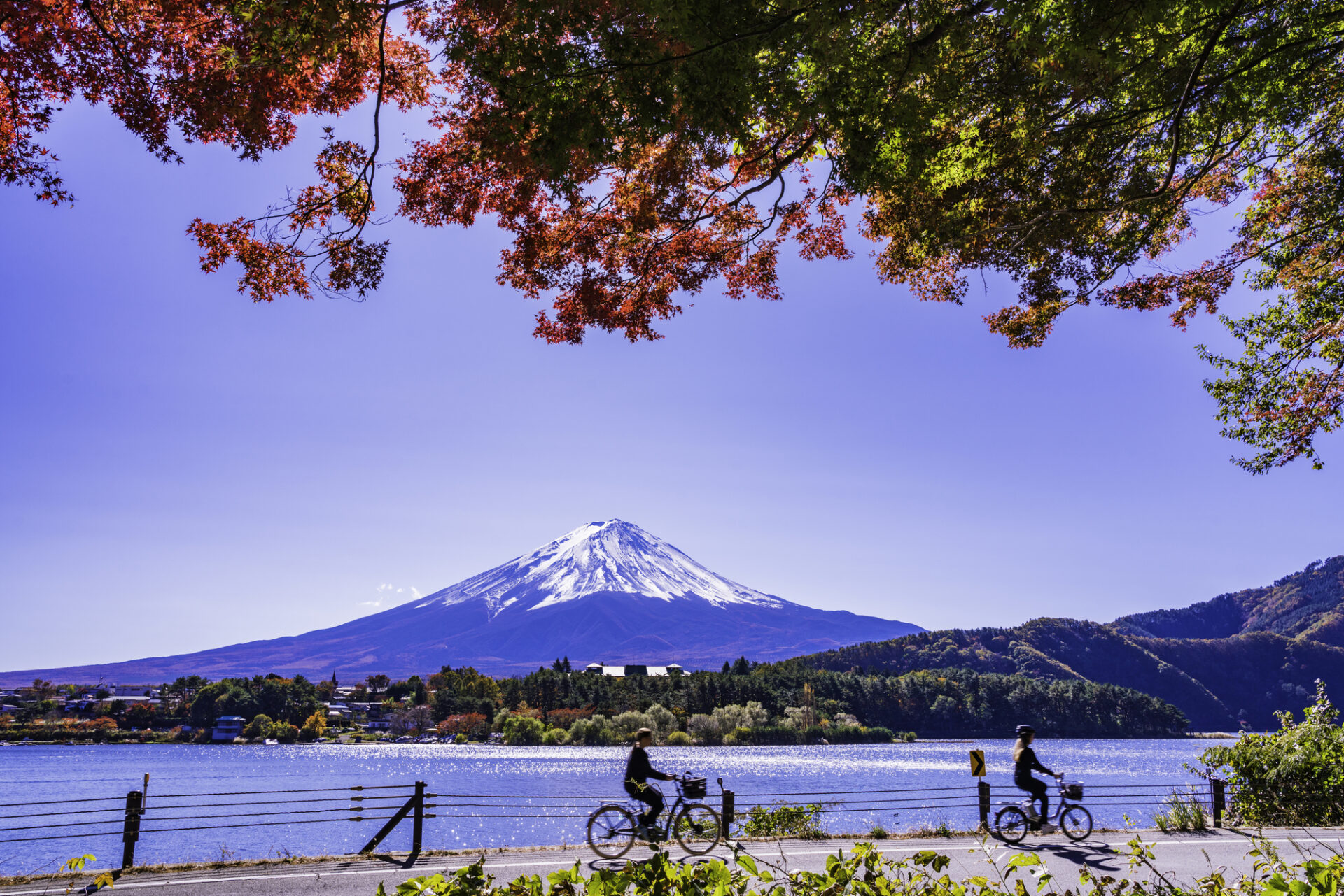 河口湖と富士山の共演