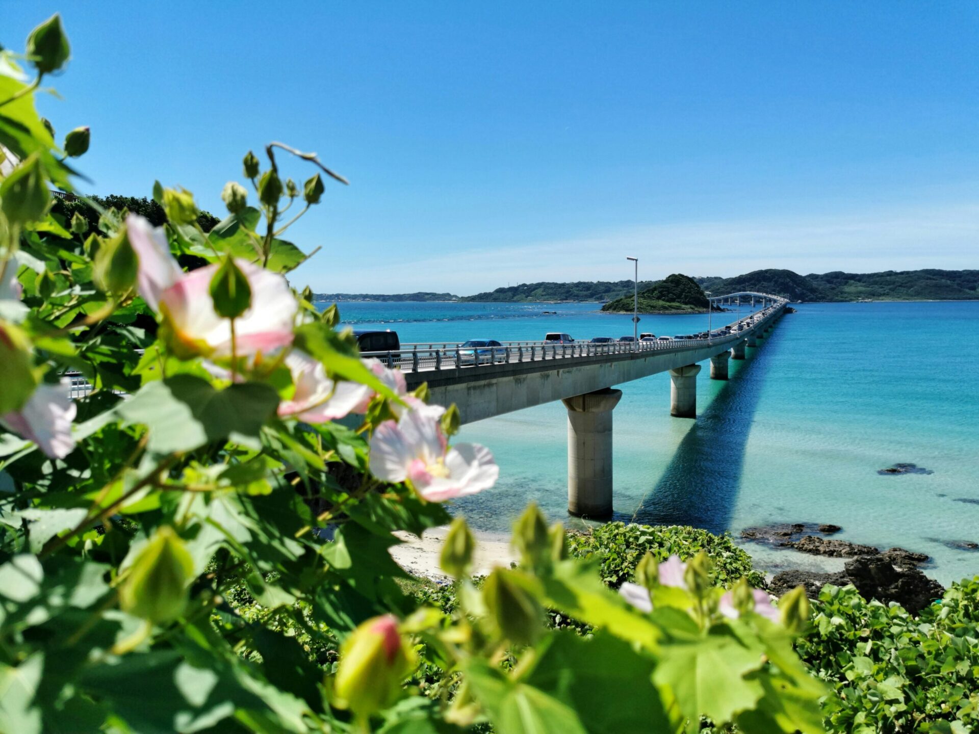 山口県の観光スポット角島大橋