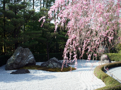 お寺で食事＆参拝