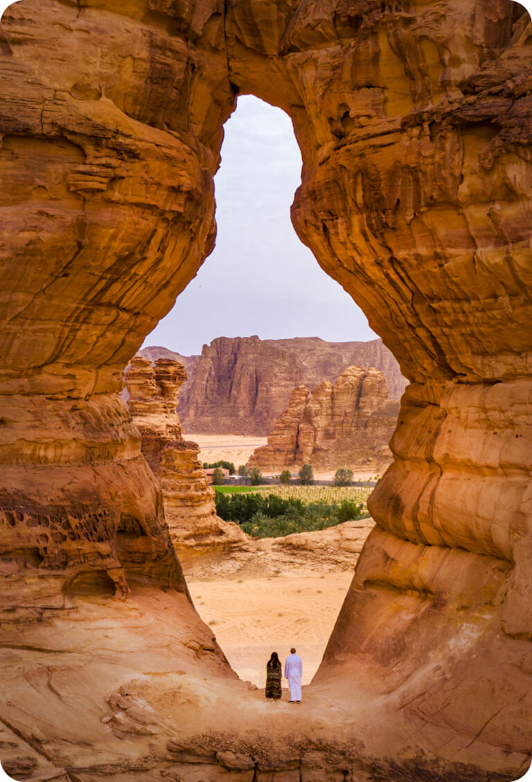 市内観光ツアー