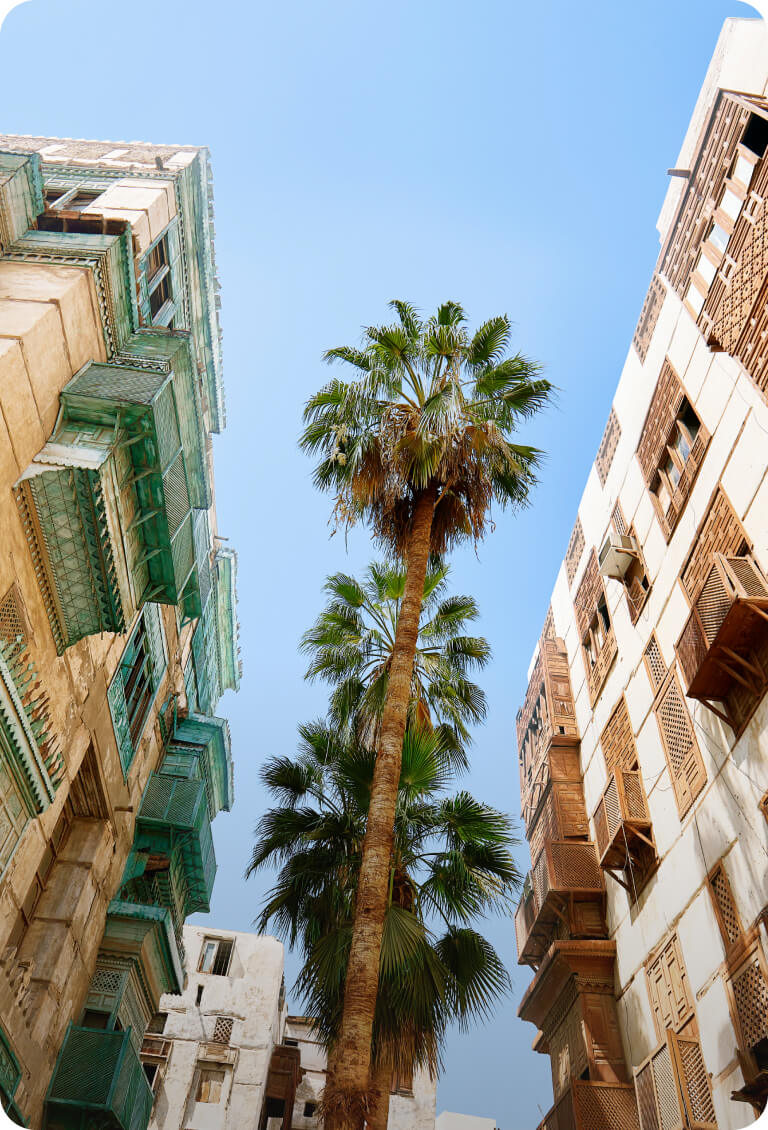 リヤド＆ジェッダ宿泊ツアー