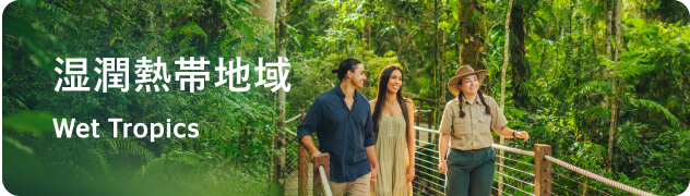 湿潤熱帯地域