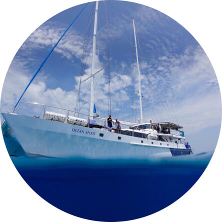 泳ぎつかれたら、船内で休憩