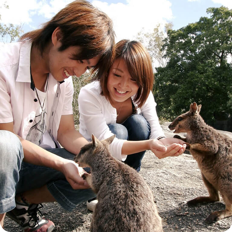 野生動物に出逢える熱帯雨林探検