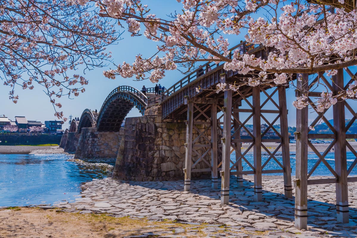 2022年 桜・お花見ツアー