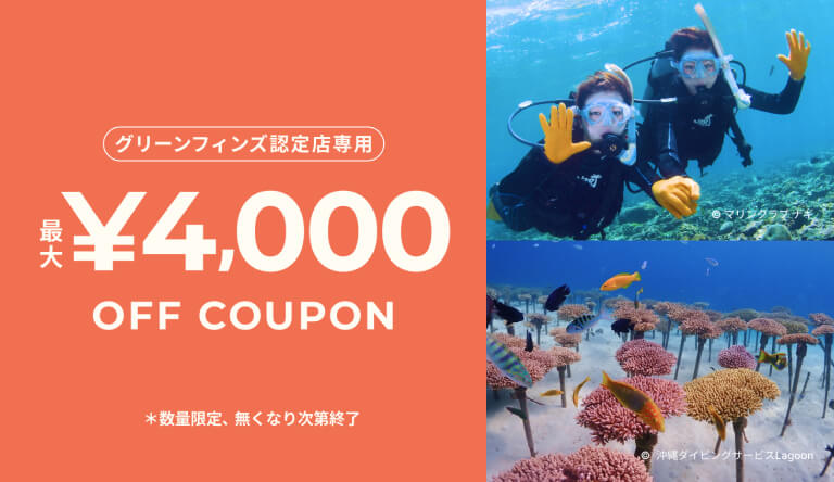 4000_OFF_coupon