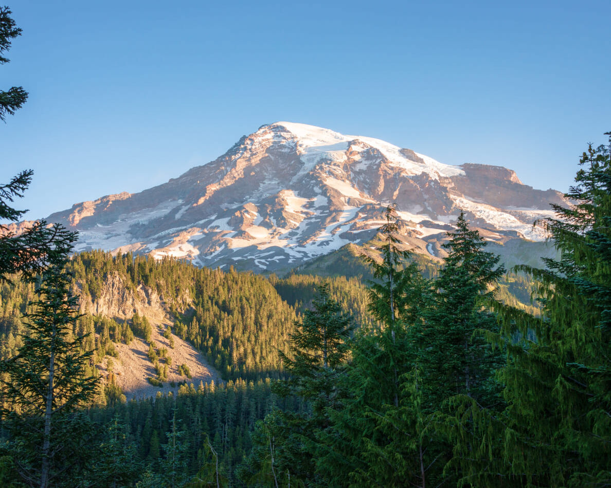 マウントレーニア国立公園 Mount Rainier National Park 四季を楽しむレーニア山